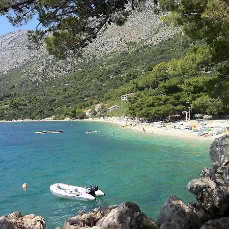 Apartments Vile Holiday Živogošće Екстериор снимка