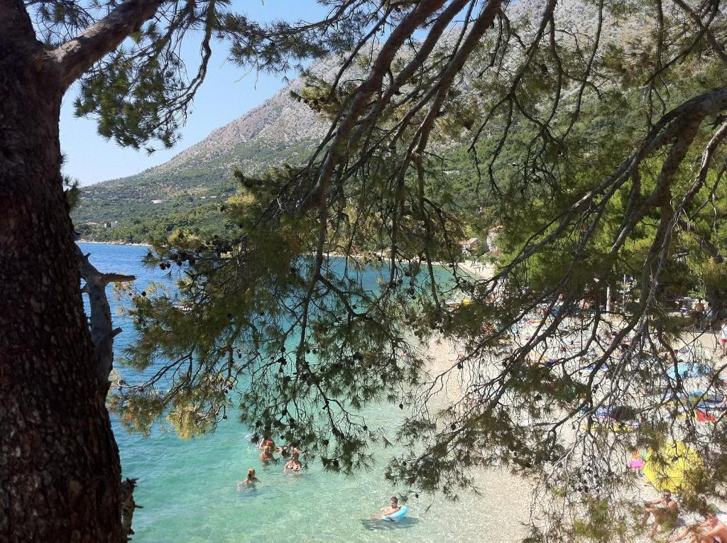 Apartments Vile Holiday Živogošće Екстериор снимка